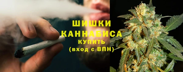 трава Аркадак