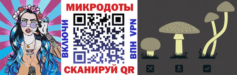 Купить  Кинель  Псилоцибиновые грибы мухоморы 